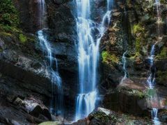 -鼎湖山风景区
