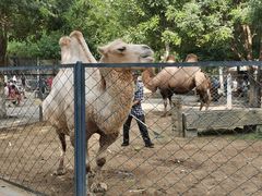 -长白岛森林公园