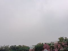 -广东花都香草世界旅游度假区