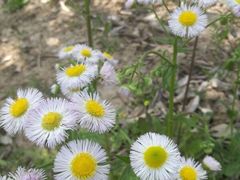 -小六农家乐(崇明西沙湿地店)