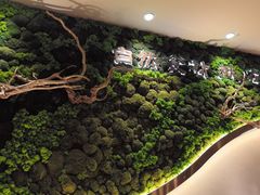 -云海肴汽锅鸡·云南小炒(曲江大悦城店)