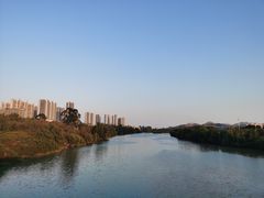 -大亚湾红树林城市湿地公园
