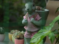 -谷咖啡·鲜花绿植花园餐厅