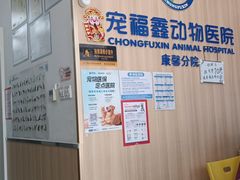 -宠福鑫康馨动物医院·骨科·眼科
