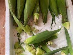 -南汇新场正宗水蜜桃采摘