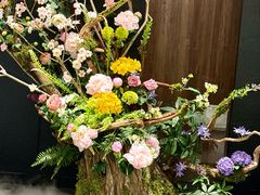-隅焰·三生三味·手作川菜(金沙天街店)