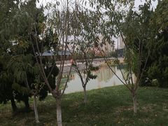 -绿岛公园(滨海新区)