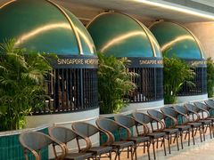 -狮拾久·现代新加坡料理(壹方城店)