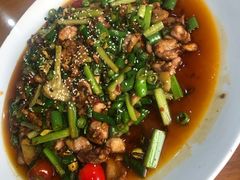 功夫兔-功夫兔