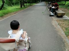 -北陵公园