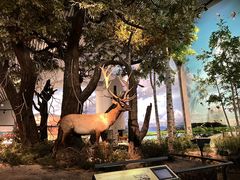 -中国湿地博物馆