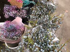 -三圣花乡旅游区