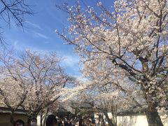 -醍醐寺