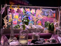 -SUPER BOWL 超级碗披萨(崂山丽达店)