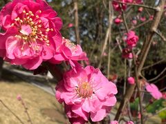 -北京市劳动人民文化宫