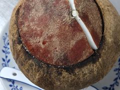 原只椰子炖竹丝鸡-達揚原味燉品(文明路店)