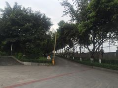 -重庆平顶山公园