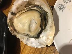-烧蠔帮·湛江生蚝(南桥店)