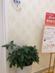 -海峡医疗美容医院