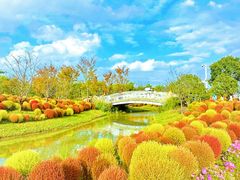 -花开海上生态园