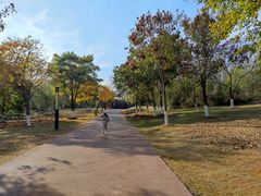 -盘龙城国家考古遗址公园