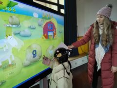 -吉的堡幼儿园(资阳恒大园)