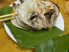 -杨合林啊兰烤鱼