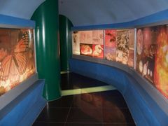 内景-上海昆虫博物馆