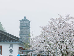 -紫阳古街