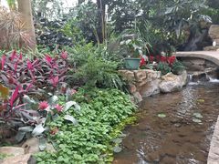-南山植物园