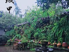 -青城甲(青城山店)