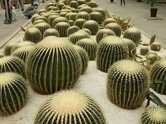android_upload_pic-世界地热博览园