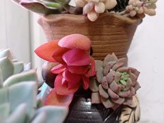 -禅韵琴社 古琴茶道香道插花培训(西华门店)