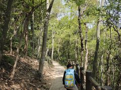 -上海佘山国家森林公园天马山园