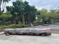 -白鹭洲公园