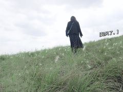 -白鹭湾湿地公园