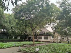 -绍兴鲁迅故里·沈园景区