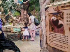 -正佳雨林生态植物园