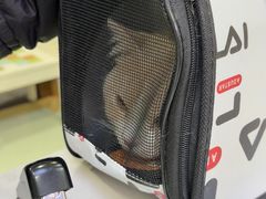 -瑞鹏宠物医院·宠保定点·心脏科·内科(御桥分院)