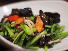 -南山酒肆(南山董事绘店)