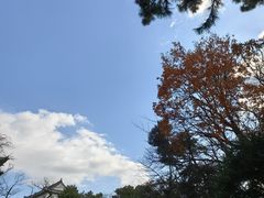 -名古屋城