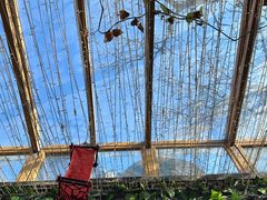-丽江庭院·云南野生菌·海鲜火锅(鼓楼四合院店)