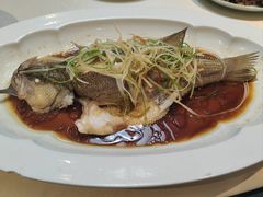 -鸭匠食府·挂炉烤鸭·新京菜(阜成路店)