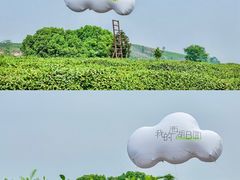 -龙坞茶村