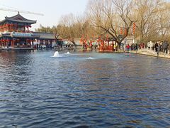 -百脉泉景区