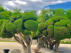-丽池公园
