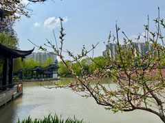 -清晏园