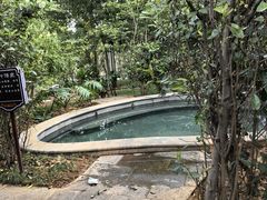 -大理小河淌水温泉艺术小镇月亮湾温泉