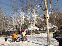 -九十九顶毡房(阜石路店)