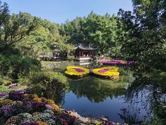 -汇龙潭